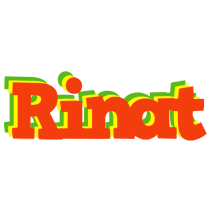 Rinat bbq logo