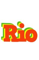 Rio bbq logo
