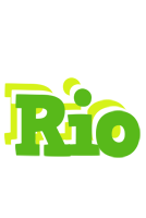 Rio picnic logo