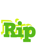 Rip picnic logo