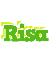 Risa picnic logo