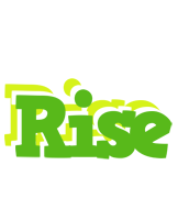 Rise picnic logo