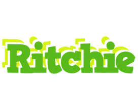 Ritchie picnic logo