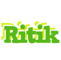 Ritik picnic logo