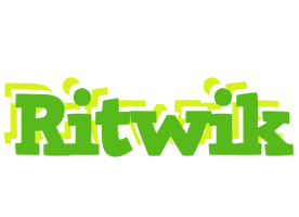 Ritwik picnic logo