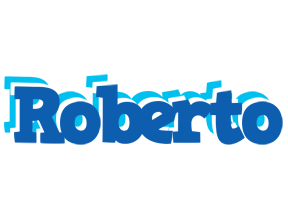 Roberto business logo