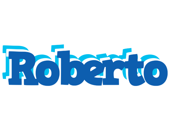 Roberto business logo