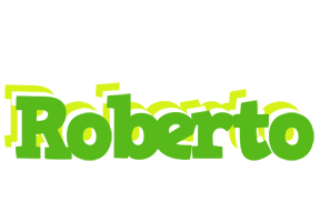 Roberto picnic logo