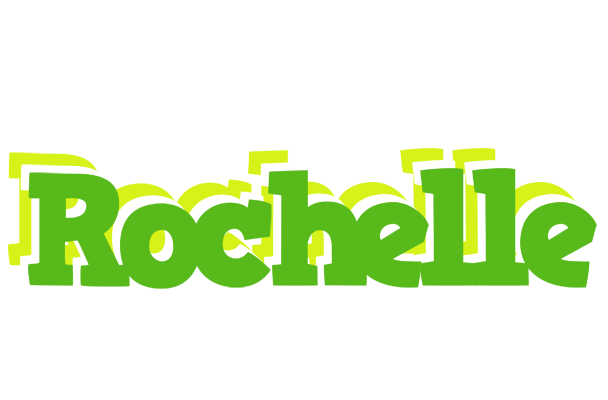 Rochelle picnic logo