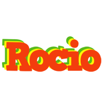 Rocio bbq logo