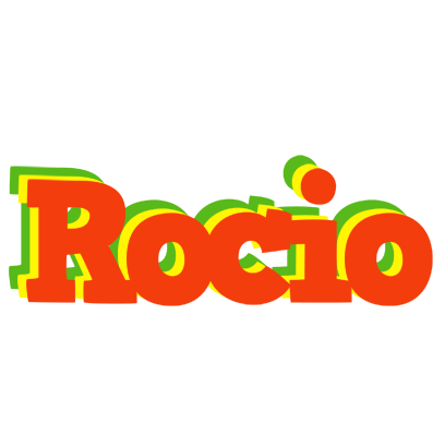 Rocio bbq logo