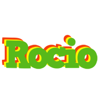 Rocio crocodile logo