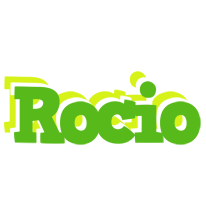 Rocio picnic logo