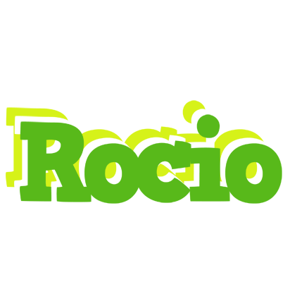 Rocio picnic logo