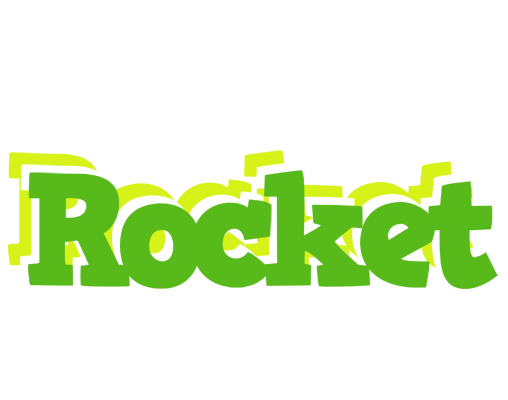Rocket picnic logo