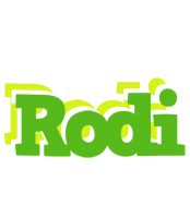 Rodi picnic logo