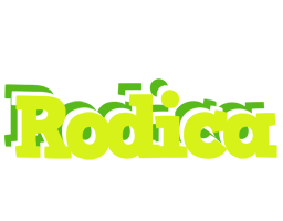 Rodica citrus logo