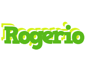 Rogerio picnic logo