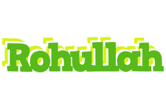 Rohullah picnic logo