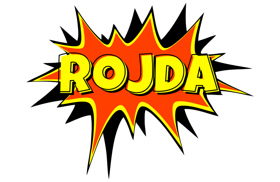 Rojda bazinga logo