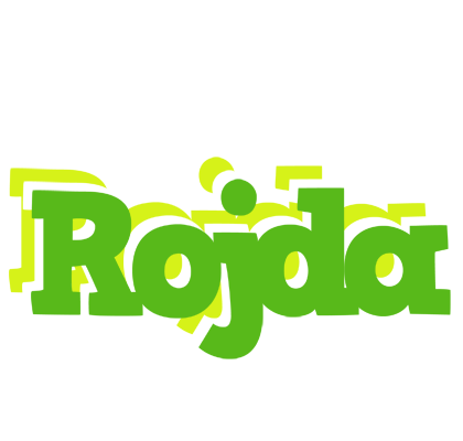 Rojda picnic logo