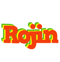 Rojin bbq logo