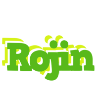 Rojin picnic logo