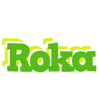 Roka picnic logo