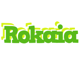 Rokaia picnic logo