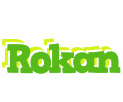 Rokan picnic logo