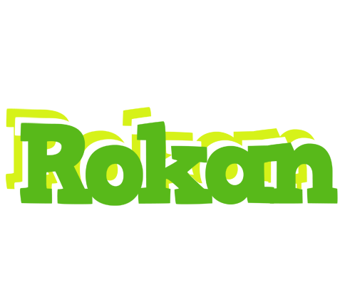 Rokan picnic logo