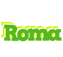 Roma picnic logo