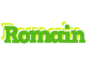 Romain picnic logo