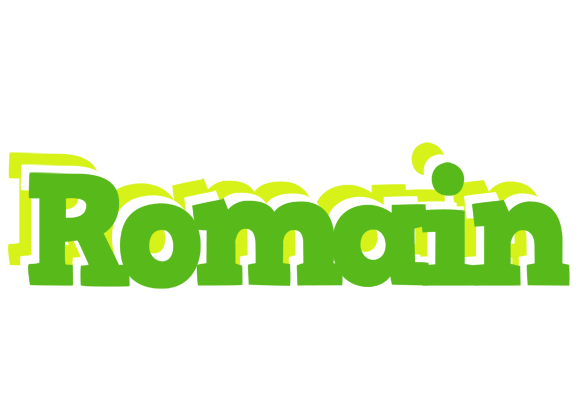 Romain picnic logo