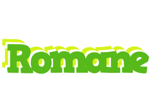 Romane picnic logo