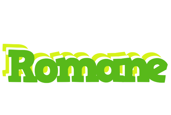 Romane picnic logo