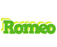 Romeo picnic logo