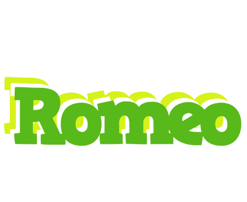 Romeo picnic logo