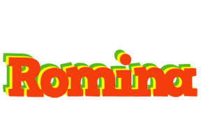Romina bbq logo