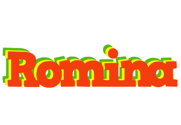 Romina bbq logo