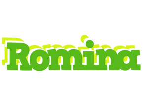 Romina picnic logo