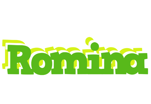 Romina picnic logo