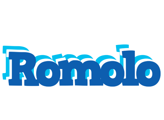 Romolo business logo
