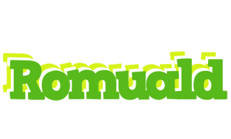 Romuald picnic logo