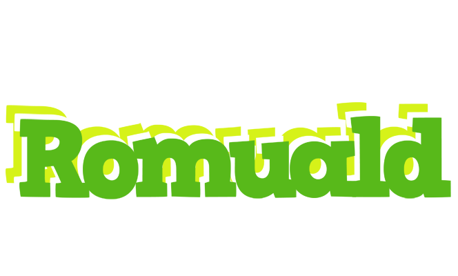 Romuald picnic logo