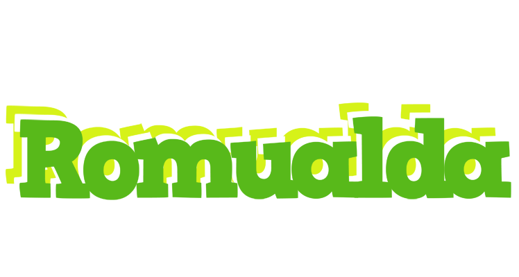 Romualda picnic logo