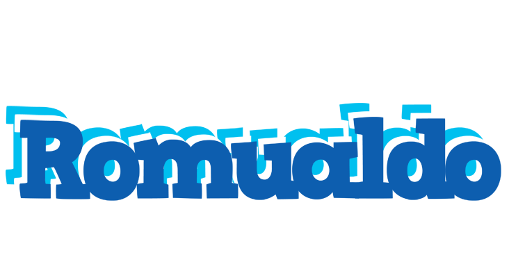 Romualdo business logo