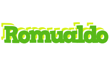 Romualdo picnic logo