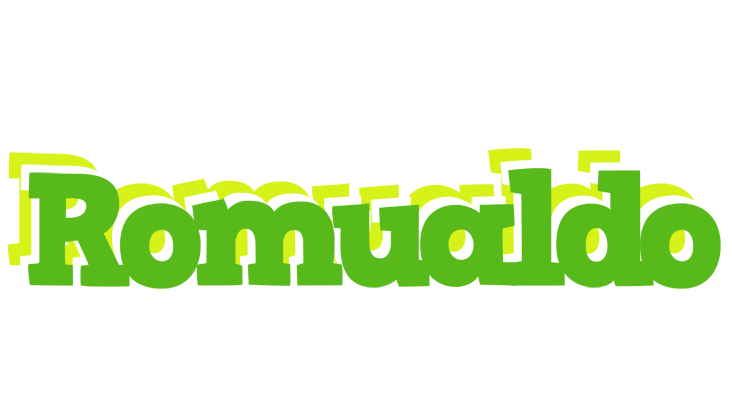 Romualdo picnic logo
