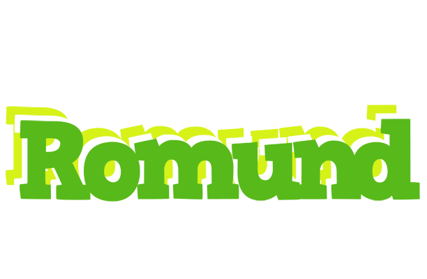 Romund picnic logo